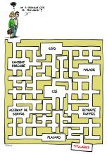 Sud CT Région Occitanie : Installation des CAP et CCP